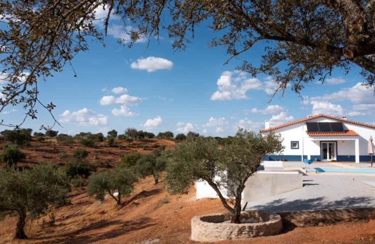 Bed and Breakfast Monte Anna Vila Verde de Ficalho Exterior foto